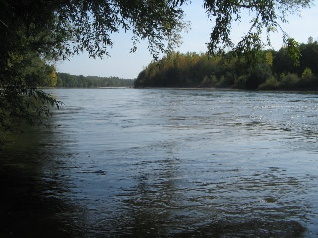 finnek 2011 009